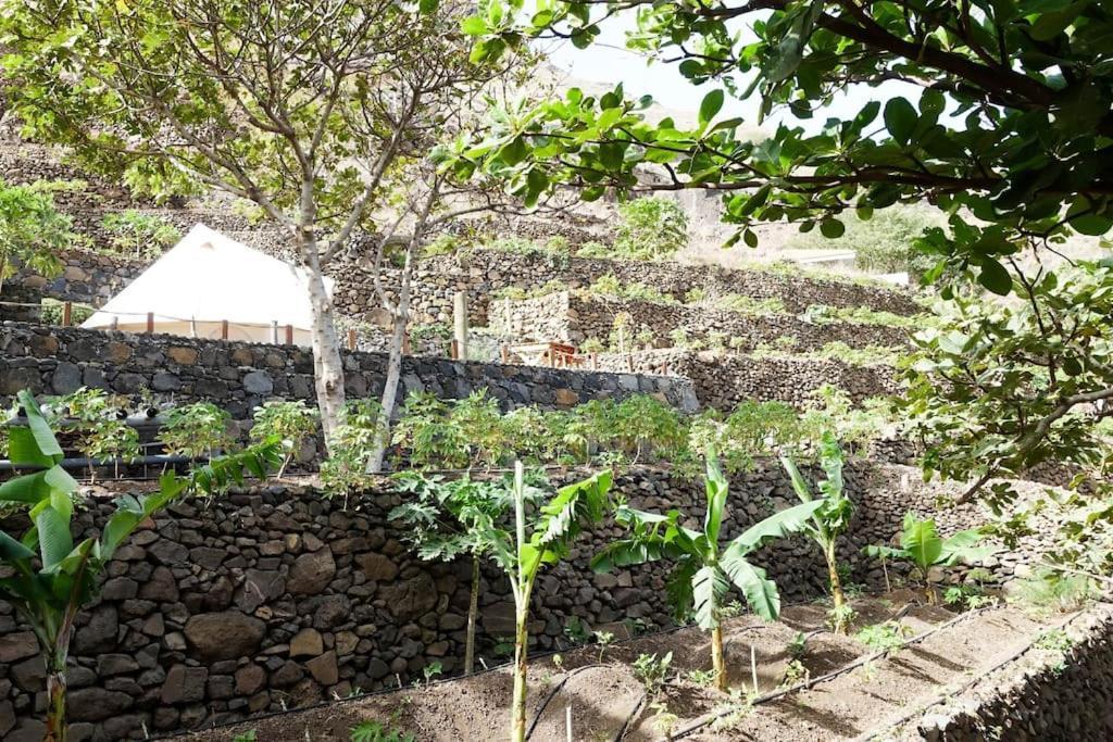 Ecolodge Kasa D'Igreja Chã da Igreja Eksteriør bilde